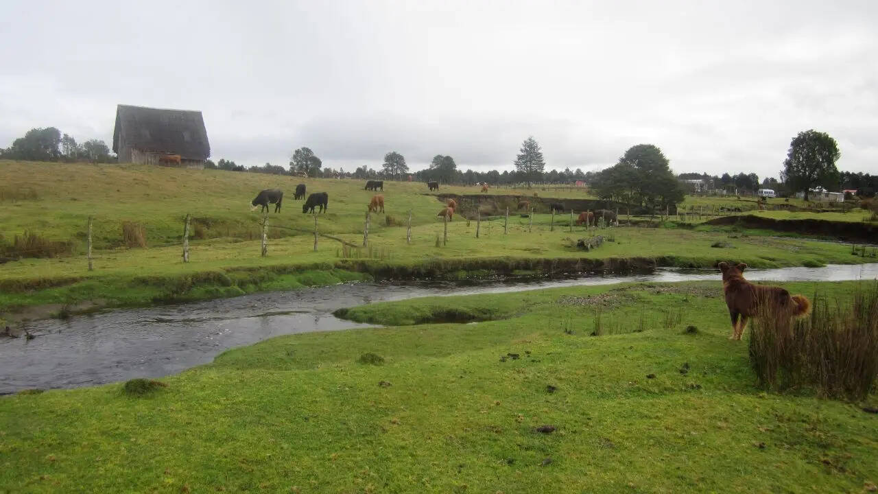 Oldest human sites in the Americas may be misdated; new research suggests