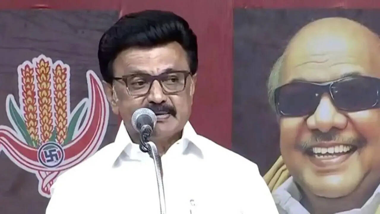Olympic academy, Rs 2,000 aid for women, pumpsets for farmers: DMK’s big poll pitch ahead of Tamil Nadu elections