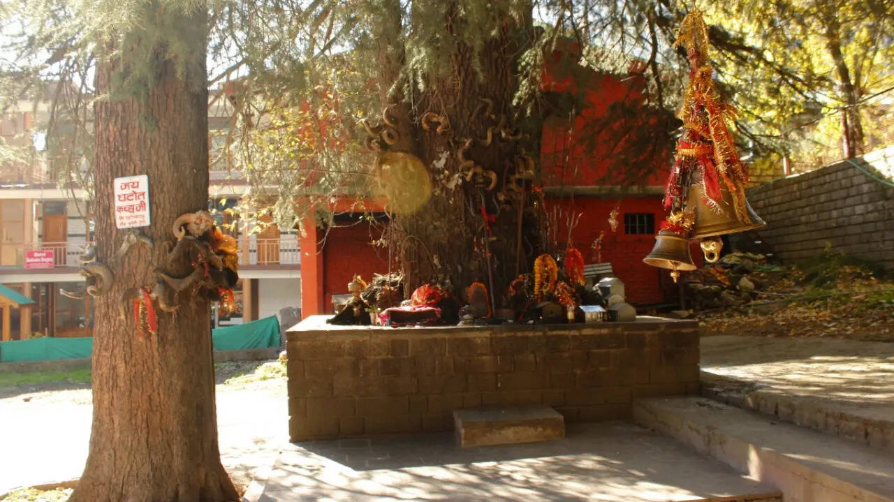 msid 129943265,imgsize 110242