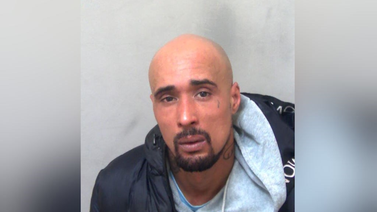 Mauled to death by XL bully dogs: UK rapper jailed for mother-in-law’s fatal death in canine attack