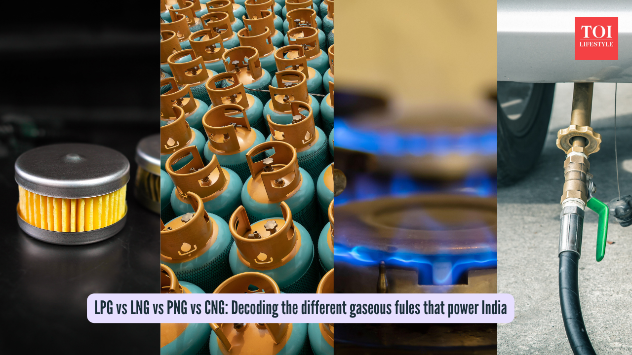 LPG vs LNG vs PNG vs CNG: Decoding the different gaseous fules that power India