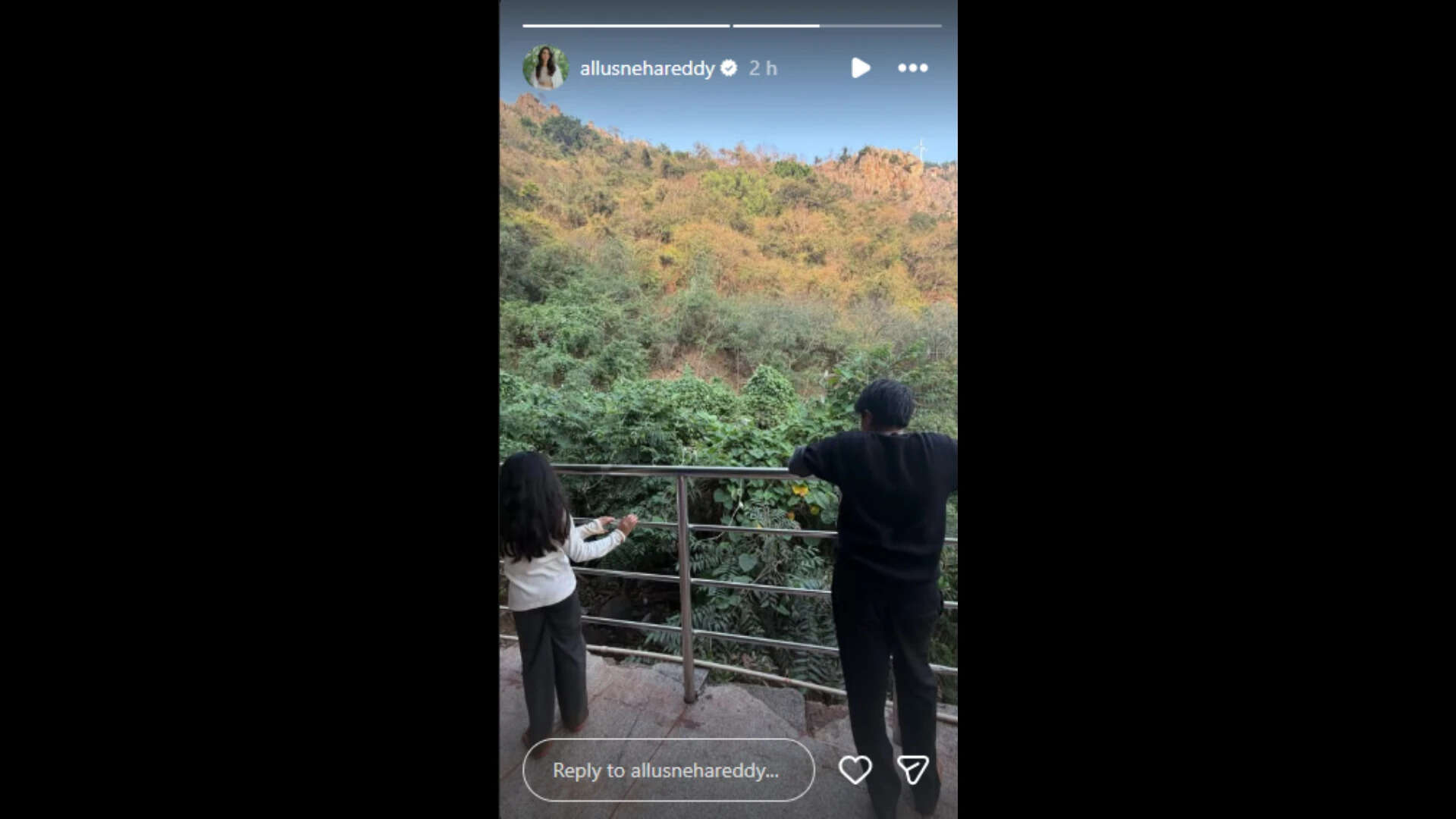 Sneha Reddy Instagram story