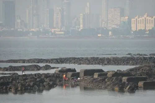 Mumbai Port hits record 75.15 MMT cargo in FY26; eyes 80 MMT next