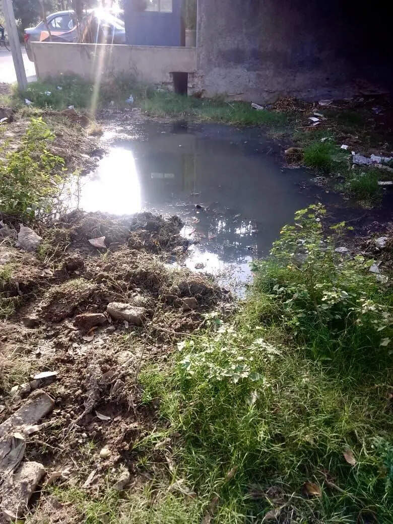 Sector 43 sewer overflow in vacant plot