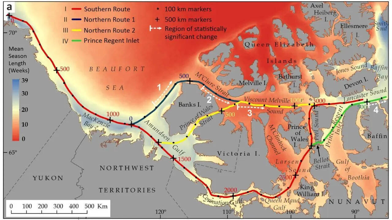 Image credit Phys.org