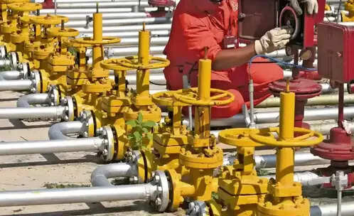 West Asia war effect: Propane gas crisis pushes JSR industrial units to opt for PNG