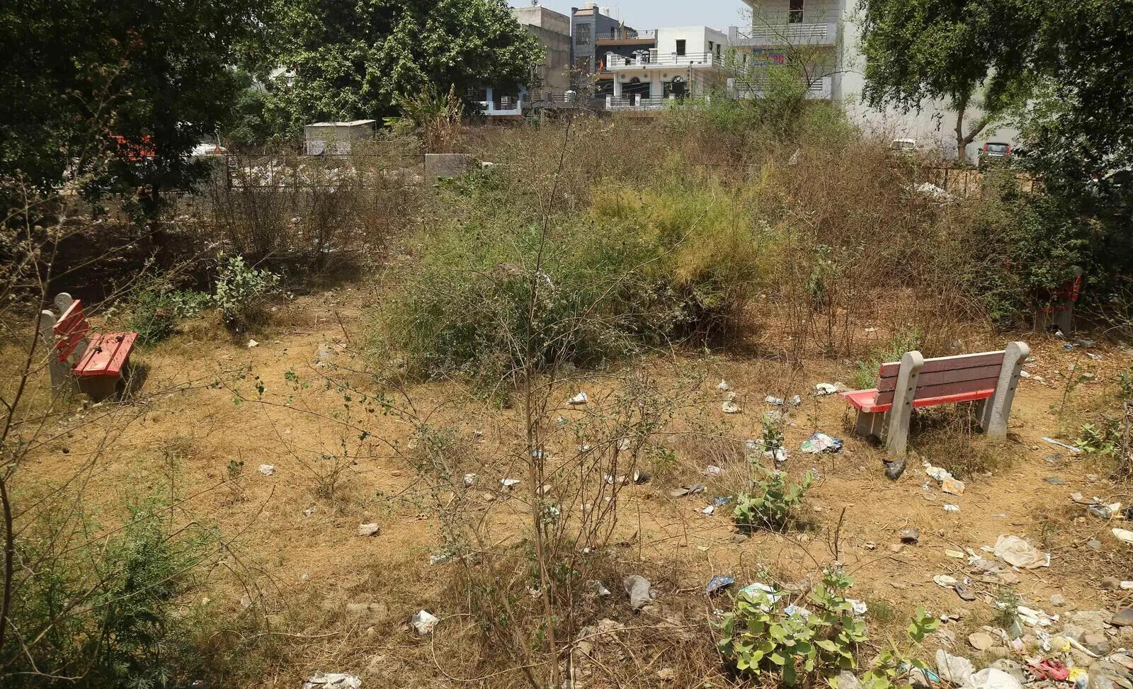 GPS-tagged photo proof must for RWAs to claim park maintenance payments, says Gurgaon civic body