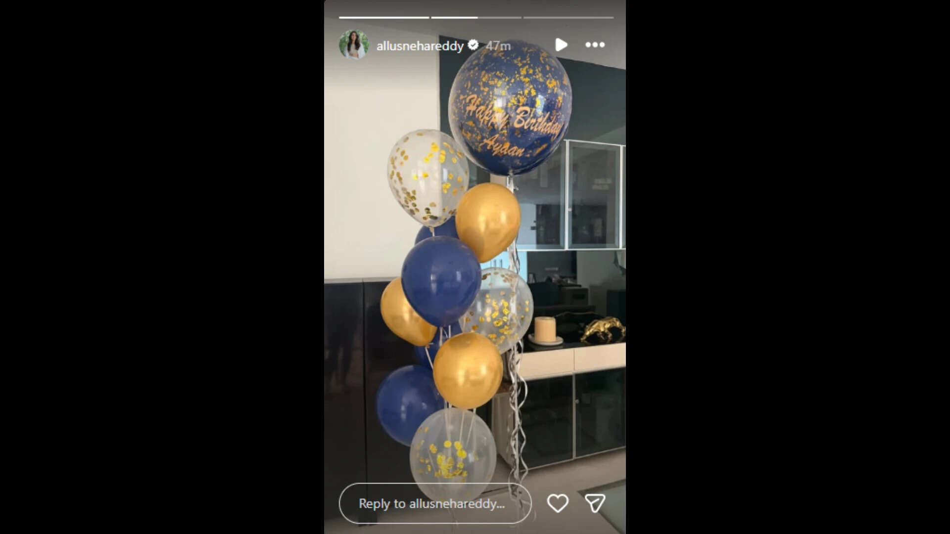 Sneha Reddy's IG story