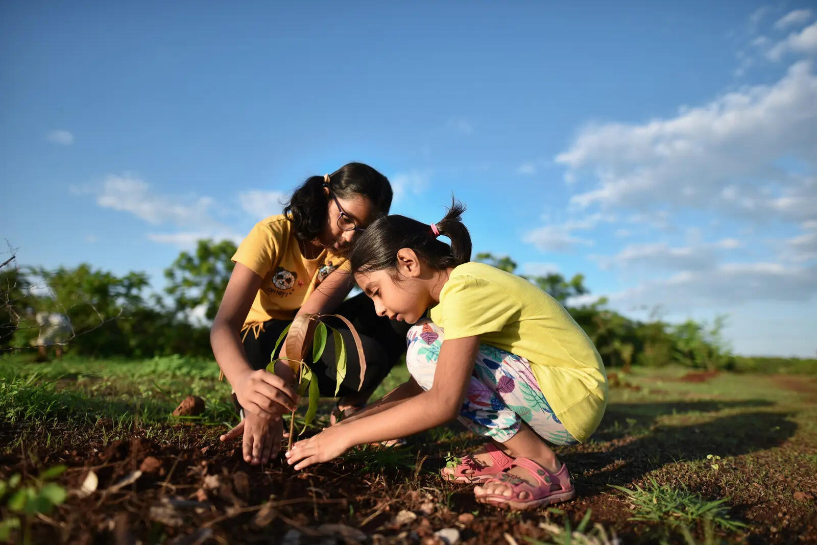 ​Homesteading advocate and CEO reveals how traditional self-sufficiency practices are delivering measurable savings for families facing economic pressures