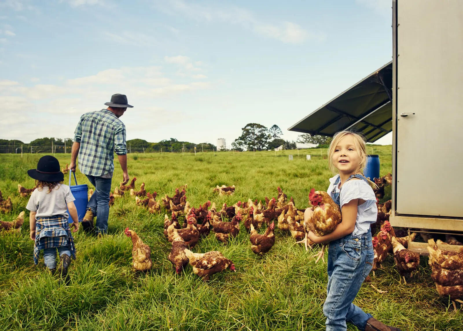 ​Backyard Chickens, DIY Cleaners and More: The Money-Saving Trend Taking Over Homes​