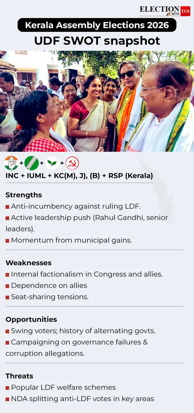 UDF SWOT analysis.