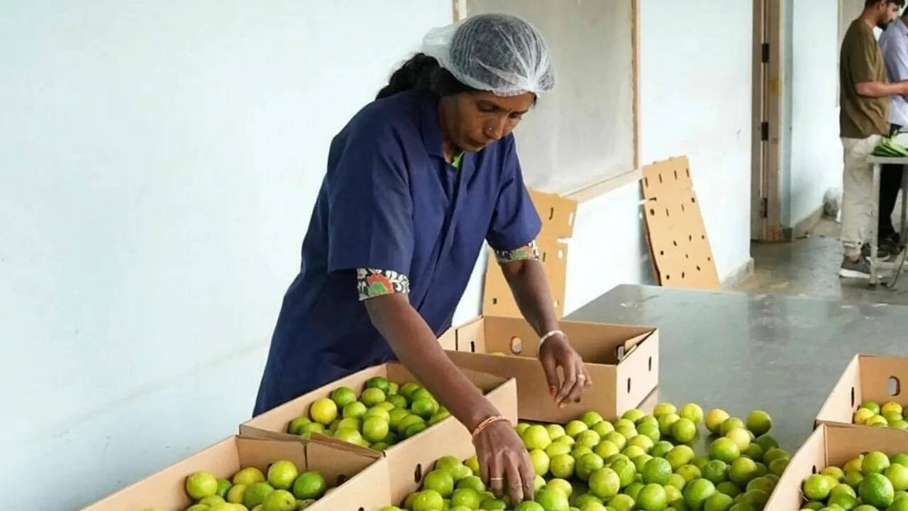 GI applications cross 2,000 mark on Centre’s push