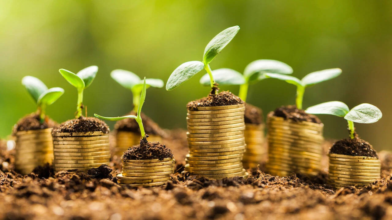 Microfinance replaces informal credit: Report