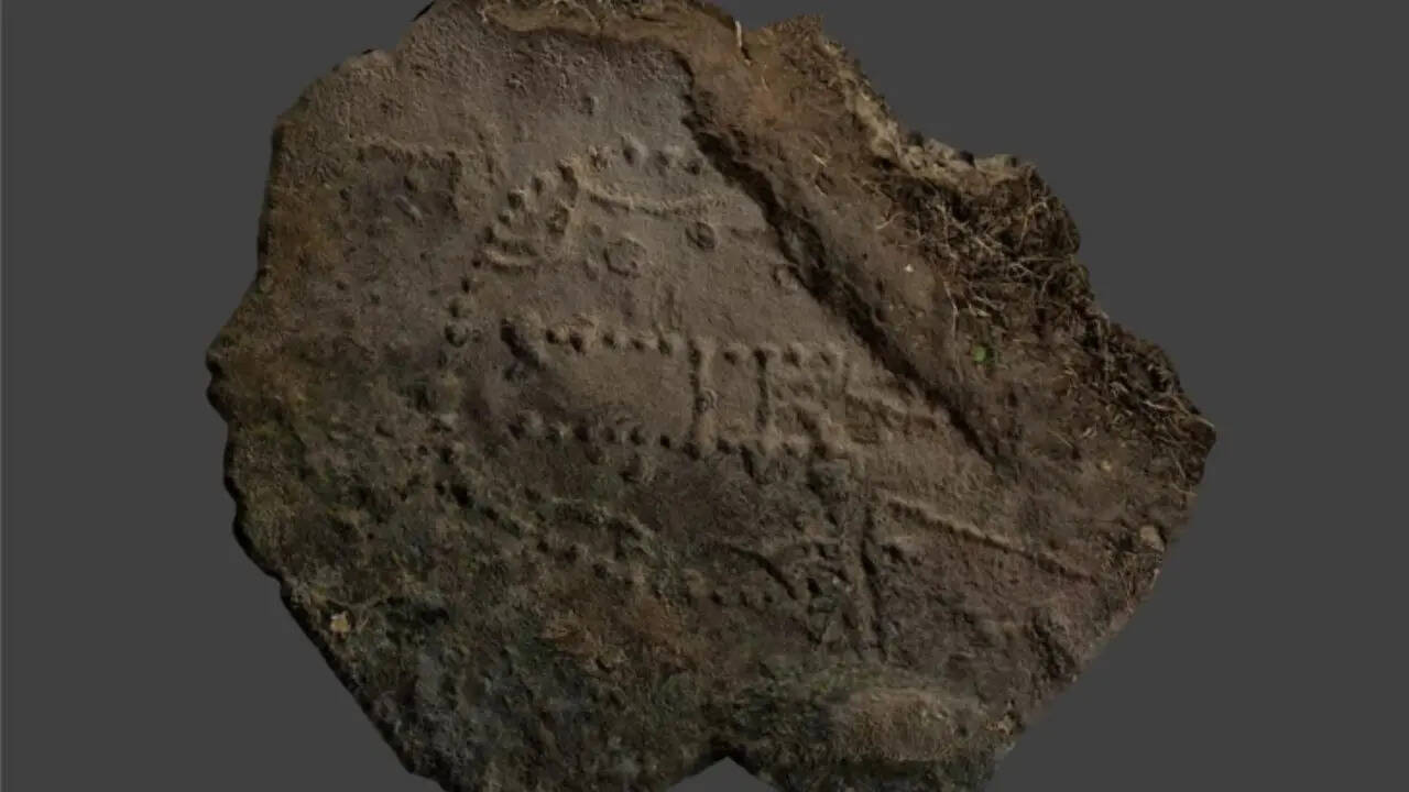 1,000-year-old structure found under Norway’s sea may reveal how whales were once trapped