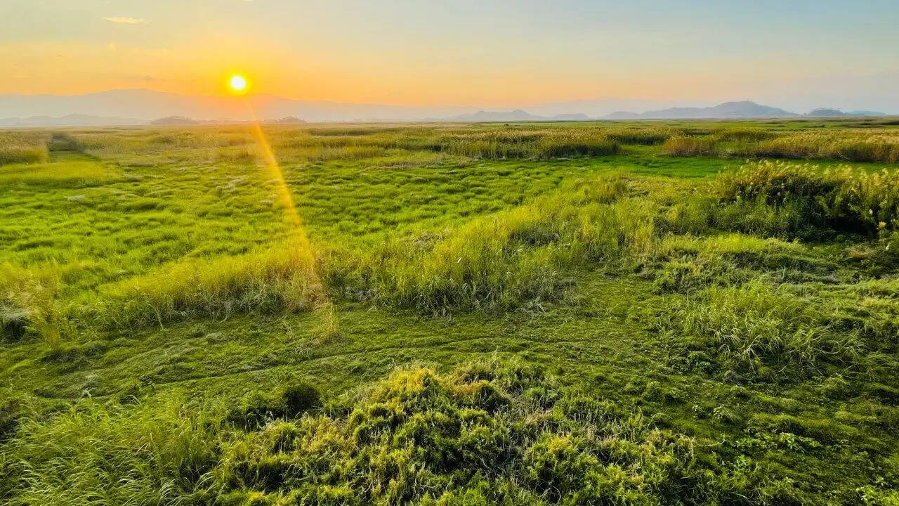  Forest Department, Govt of Manipur