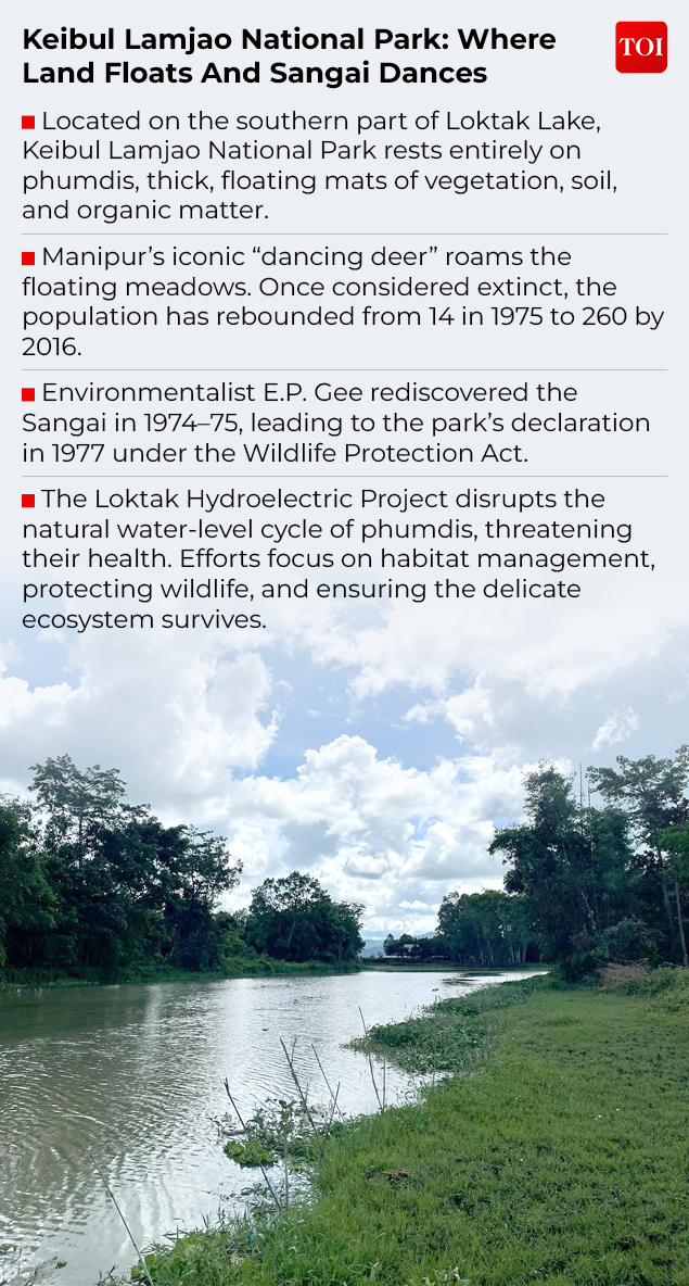 Floating national park