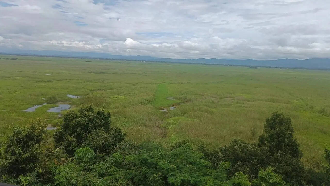 Keibul Lamjao National Park