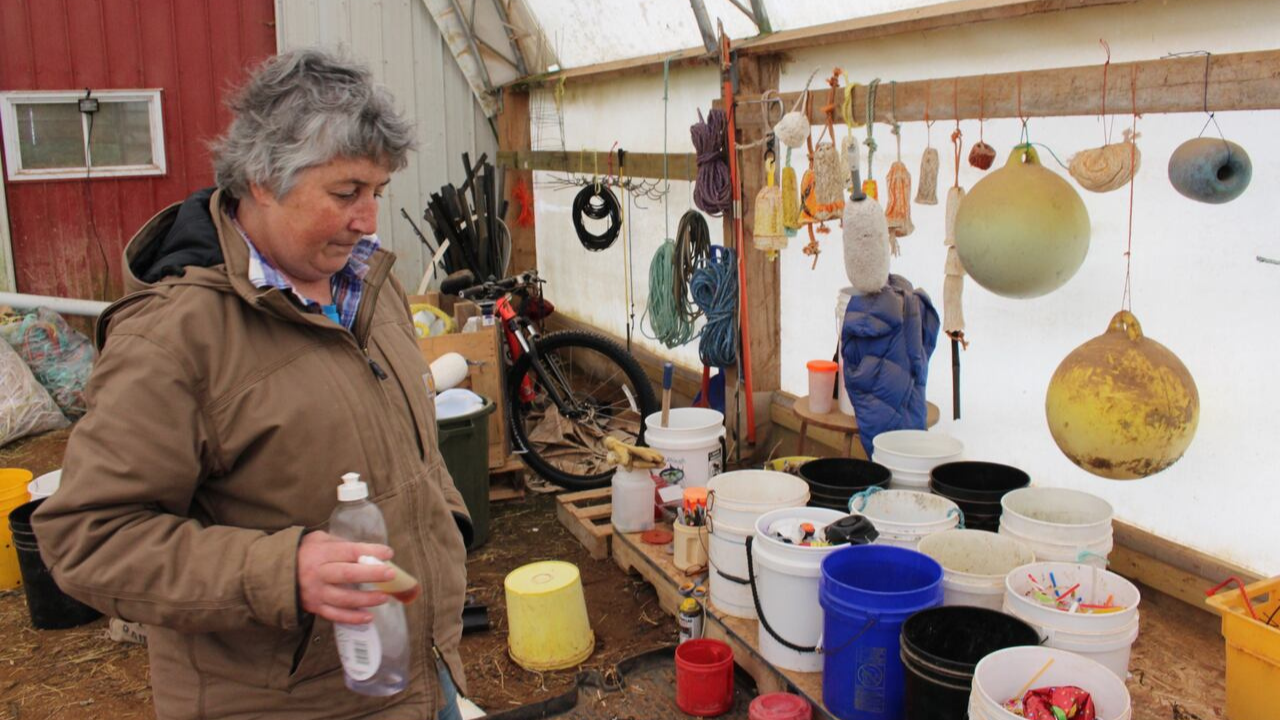 Meet Karen Jenner: The woman who has removed over 31,000 pounds of ocean waste along Canada’s wild coastline