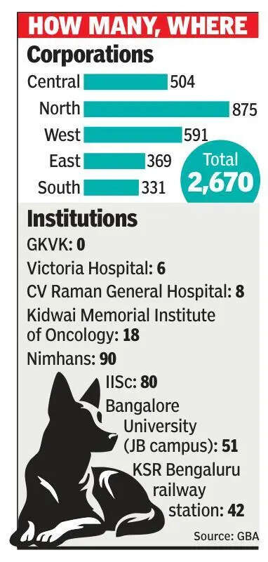 Bite-sized data? Patchy stray dog count under lends in Bengaluru