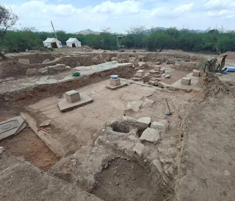 msid 130026472,imgsize 76524 https://jaipur.visitinrajasthan.com/wp-content/uploads/2023/10/cropped-cropped-R-2.png