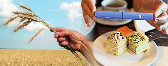 Infographic on evolutionary mismatch and obesity