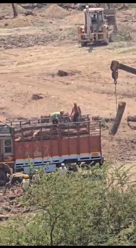 Environmentalists urge BMC to stop construction firm from cutting trees at Vikhroli’s Godrej Garden in Mumbai