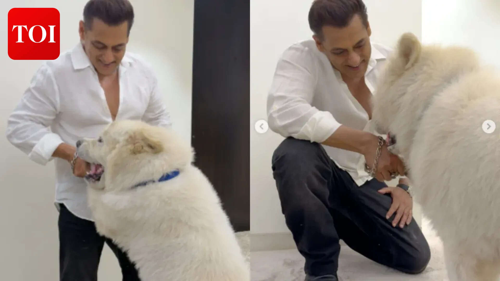 Salman's pics prove he is happiest with his dog - PICS