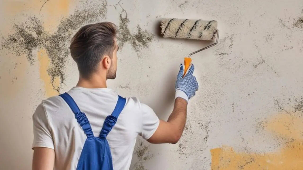 Surprising danger of painting over mould: Wellness experts reveal ‘invisible’ health hazard