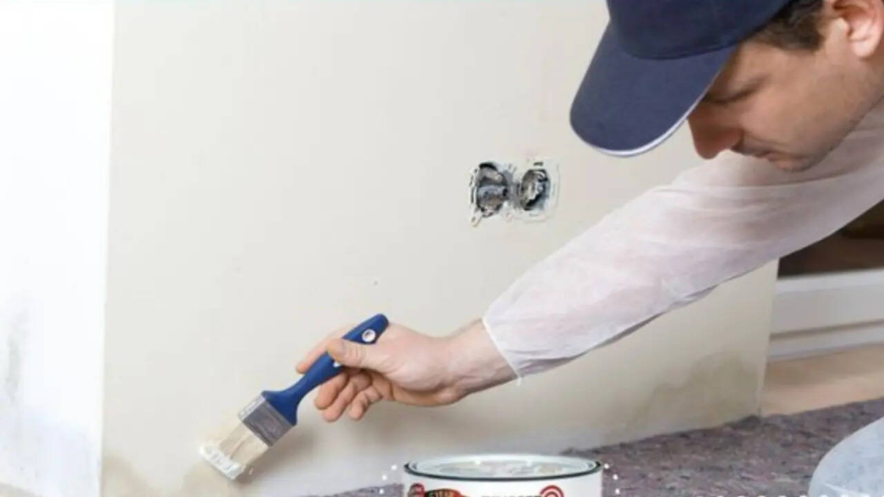Home wellness expert reveals why painting over mould creates a 'paint-film petri dish' that allows spores to spread invisibly behind walls.