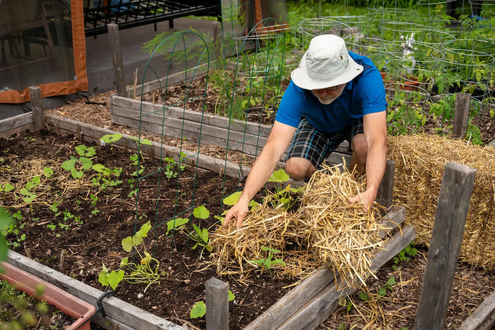 Gardening expert shares strategic mulch application method that creates protective barriers helping gardens withstand extreme weather with minimal water usage