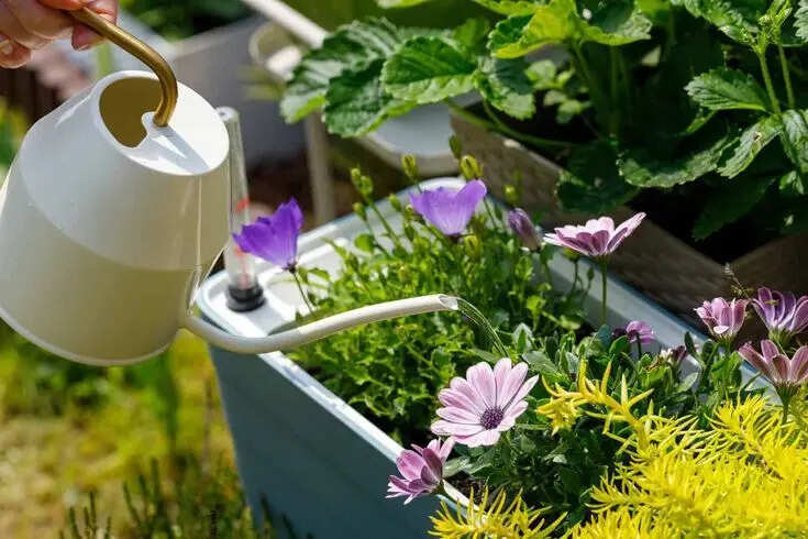 ​Common mulching mistakes that drastically reduce effectiveness and how to avoid them​