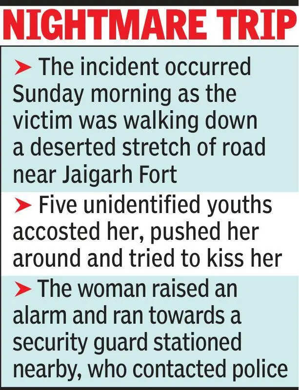 Japanese tourist sexual harassment