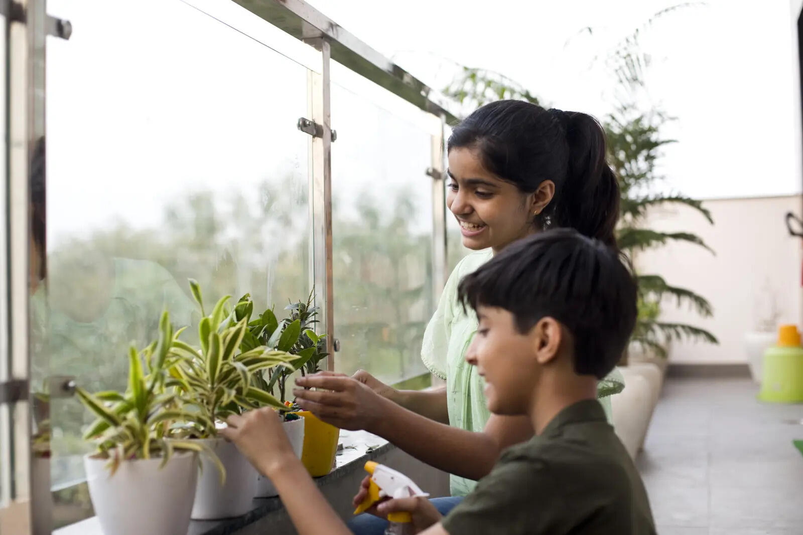 Expert advises matching plants to your actual light conditions and treating plant loss as a learning opportunity rather than personal failure.