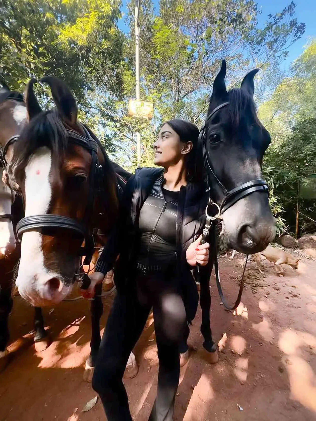 Saiee Manjrekar horse riding