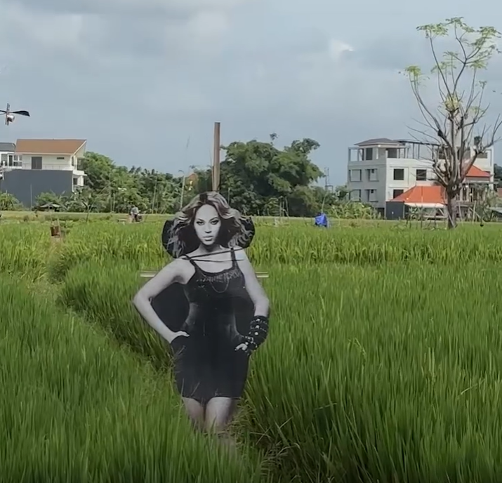 Beyonce as a scarecrow