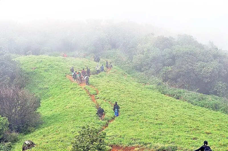 Into the wild, into risk: Trekker’s disappearance puts focus on risks in Karnataka’s forest trails