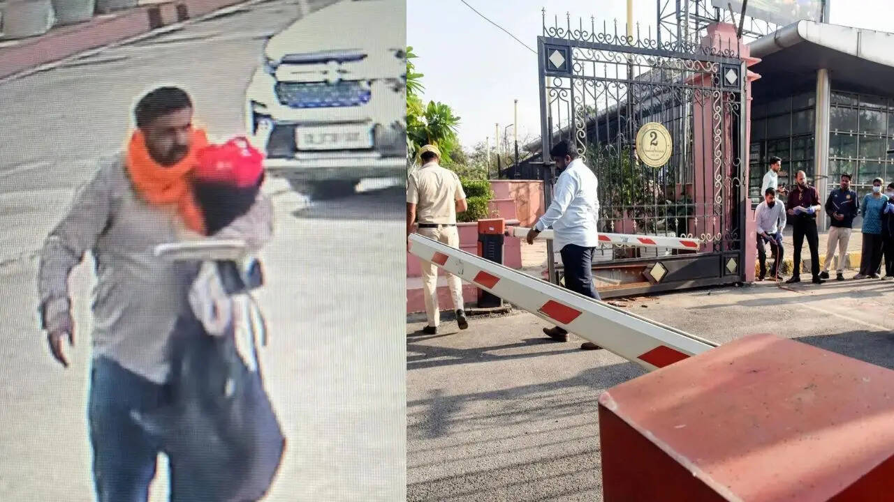 'I have Maharaja’s sword': Delhi cops say assembly breach accused showing violent behaviour