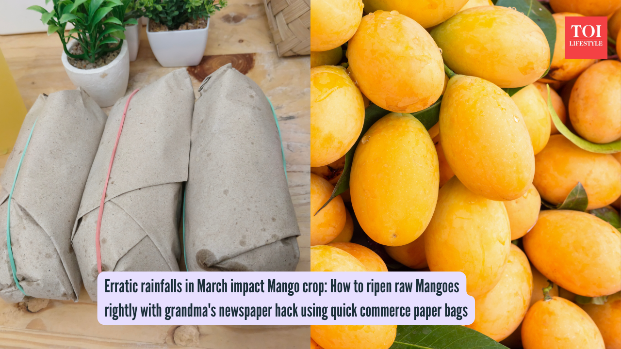 Erratic rainfalls in March impact Mango crop: How to ripen raw Mangoes rightly with grandma's newspaper hack using quick commerce paper bags