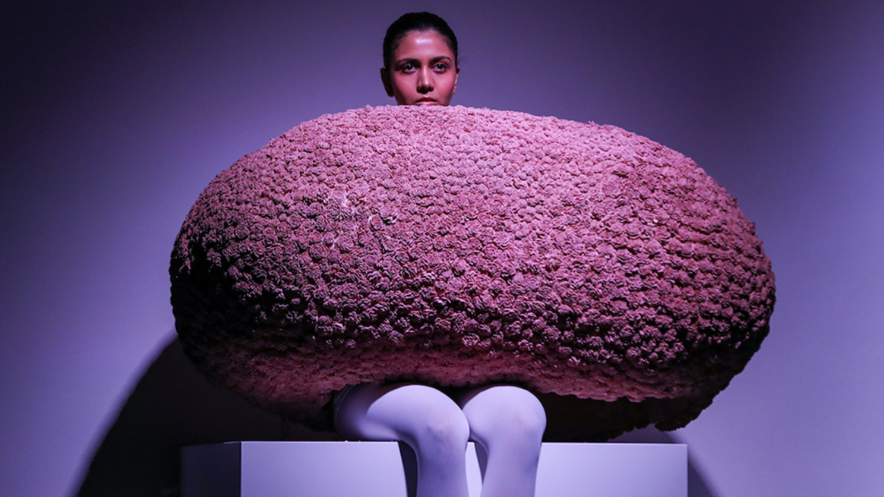 Anamika Khanna LFW 2026 showcase