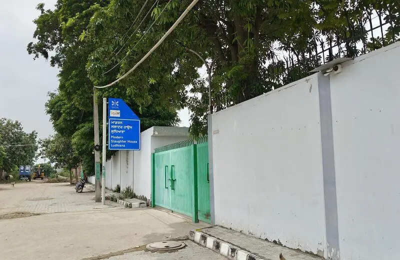 Rs 19.5cr on chopping block: MC's hi-tech abattoir faces dead future