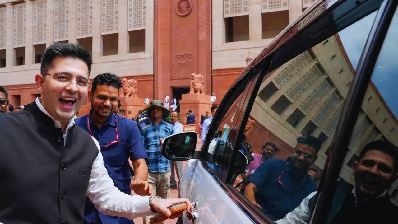 'Interesting thought': Raghav Chadha hints at own political party