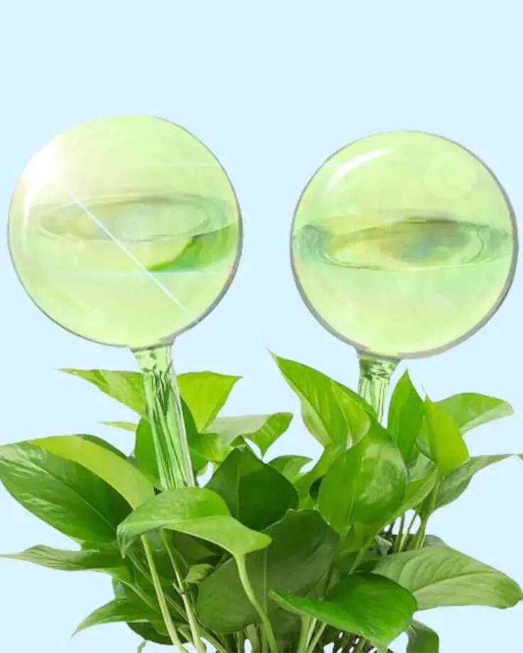 ​Gardening expert reveals five trendy products that don't deliver and what to buy instead