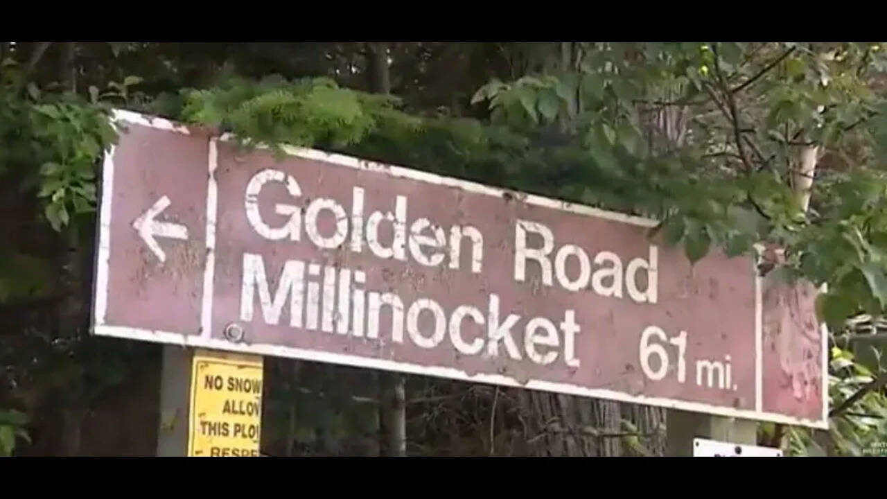 ‘We just made it, baby’: Four ‘British nationals’ arrested for ‘unknowingly’ sneaking into US from Canada