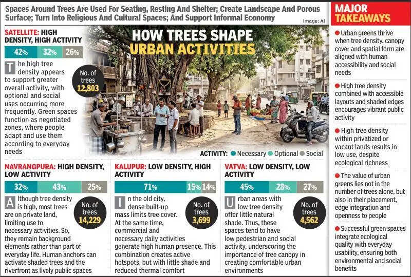 60% of Ahmedabad has only 10-12 trees per sq km: Study