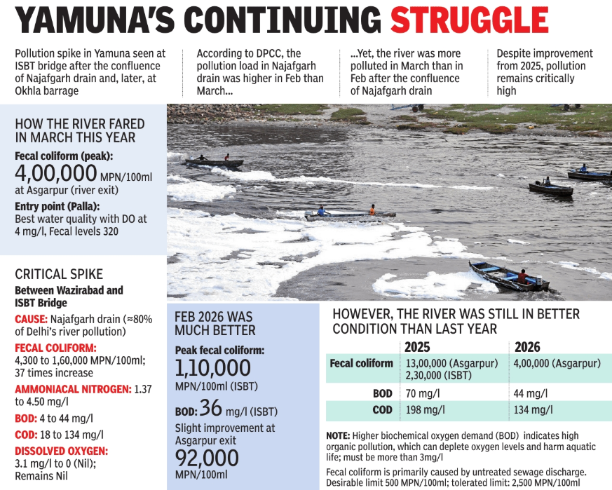 Yamuna's continuing struggle