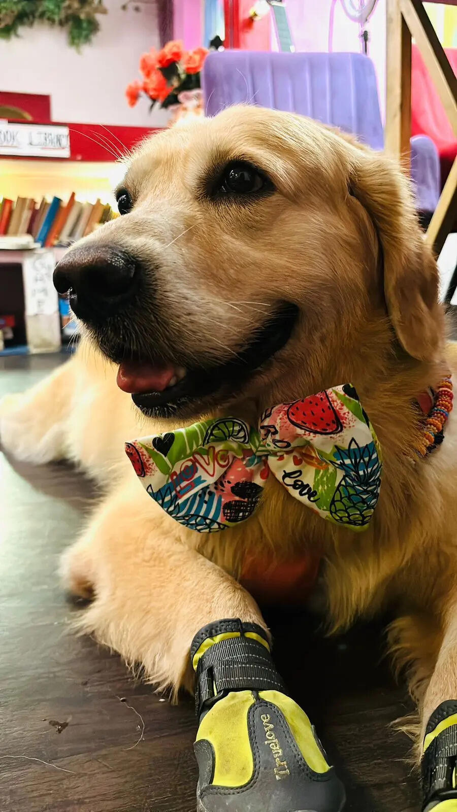 WhatsApp Image on 2026-04-10 09.22.27.