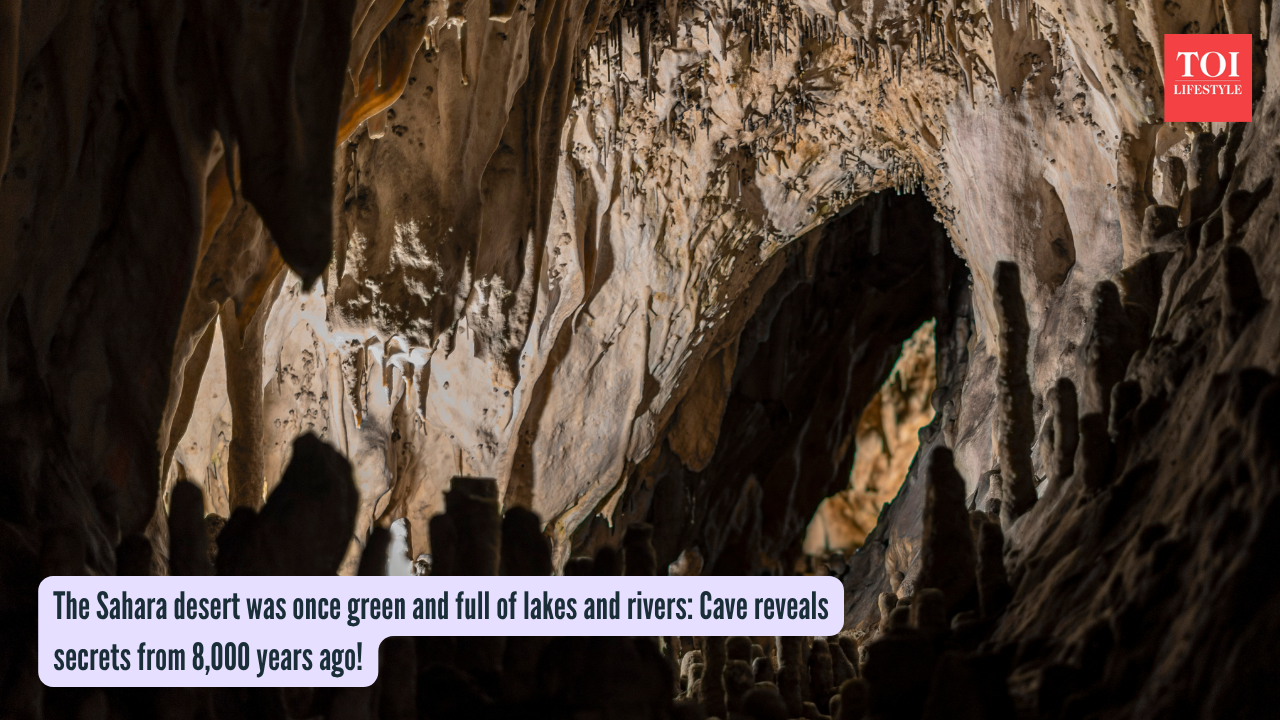 The Sahara desert was once green and full of lakes and rivers Cave reveals secrets from 8,000 years ago!