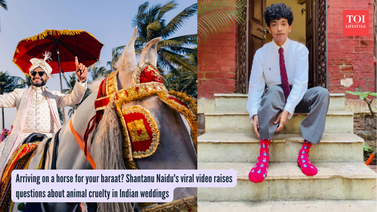 Arriving on a horse for your baraat Shantanu Naidu's viral video raises questions about animal cruelty in Indian weddings