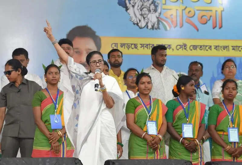 SIR a big scam, it’s a ploy to bring BJP to office, says CM