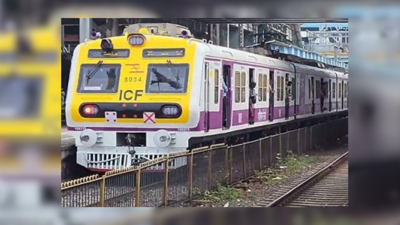 Mumbai megablock disrupts local train services